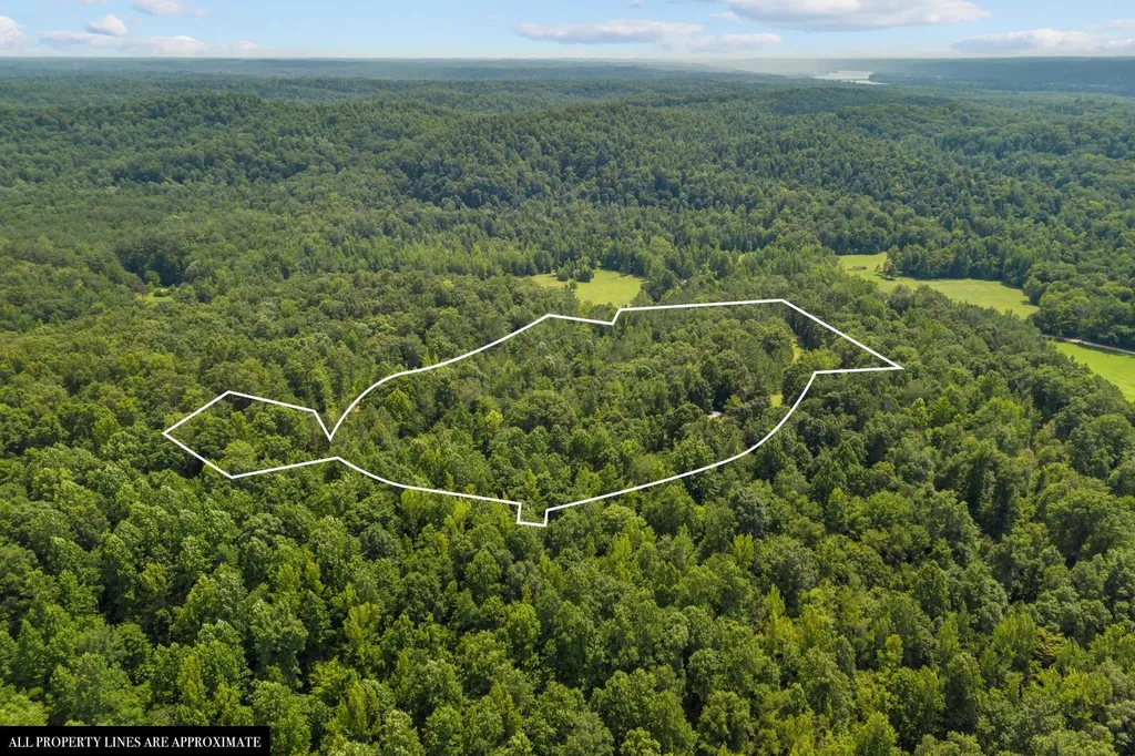 0 Roberts Creek Waverly TN 37185