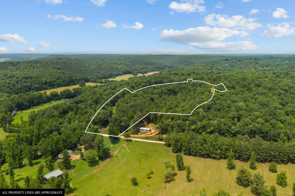 0 Roberts Creek Waverly TN 37185