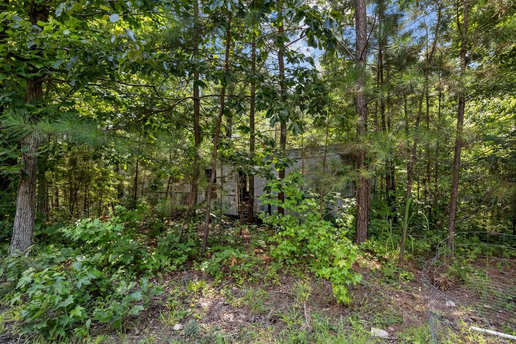 0 Roberts Creek Waverly TN 37185