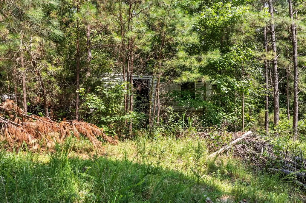 0 Roberts Creek Waverly TN 37185