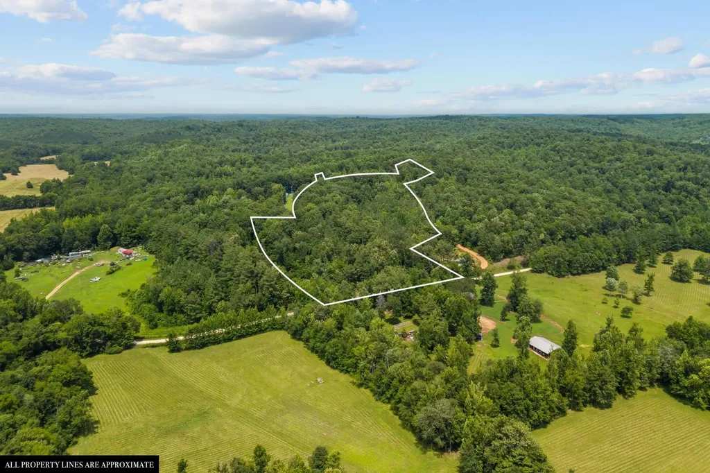 0 Roberts Creek Waverly TN 37185