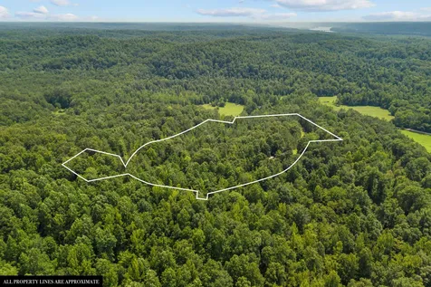 0 Roberts Creek Waverly TN 37185