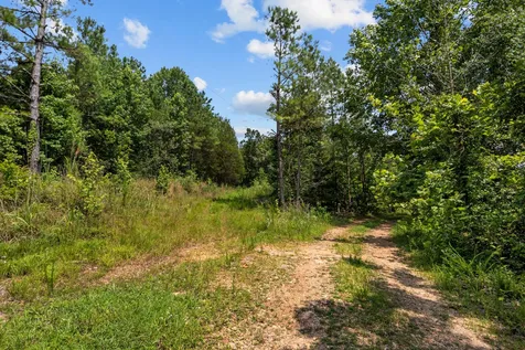 0 Roberts Creek Waverly TN 37185
