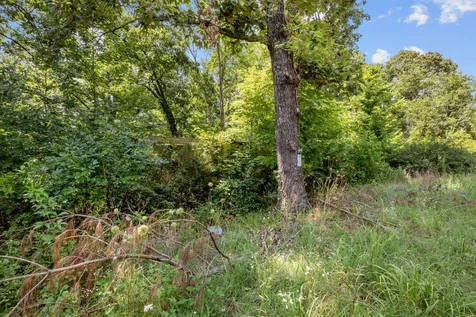0 Roberts Creek Waverly TN 37185