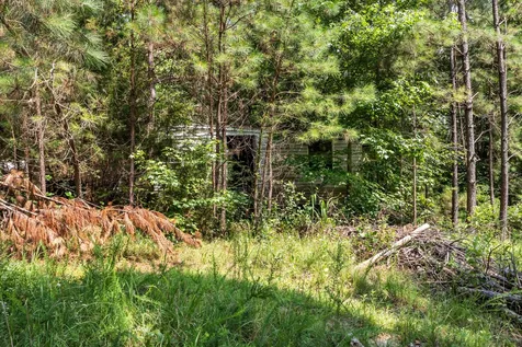 0 Roberts Creek Waverly TN 37185