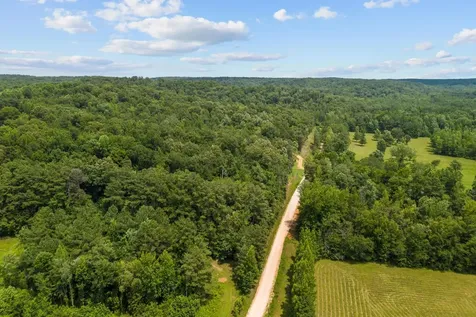 0 Roberts Creek Waverly TN 37185