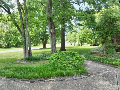 1229 Mount Vernon Lane Mount Juliet TN 37122