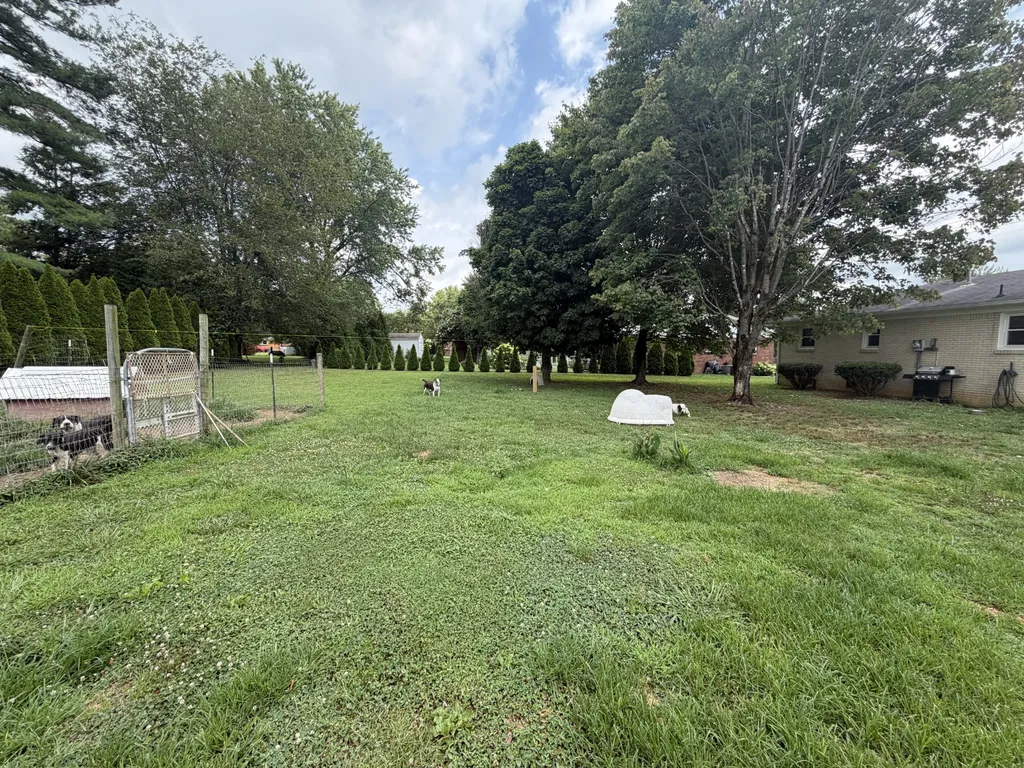 835 Anthony Avenue Smithville TN 37166