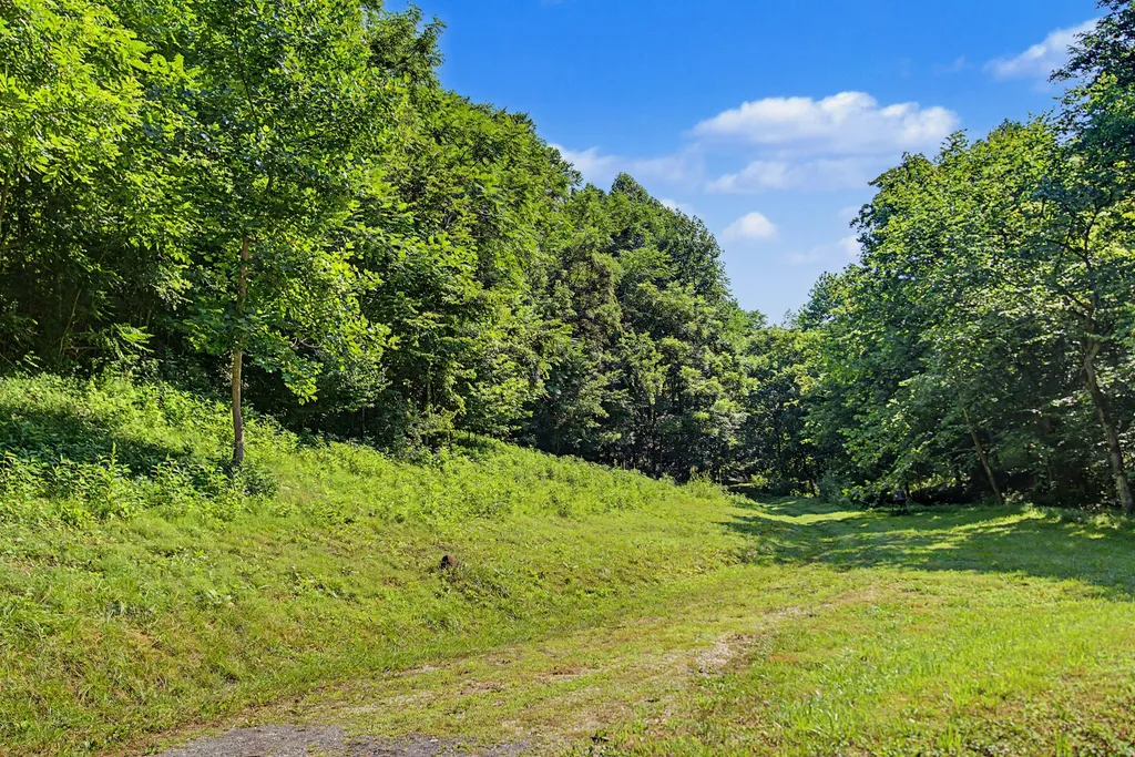 1505 Dark Hollow Road Lafayette TN 37083