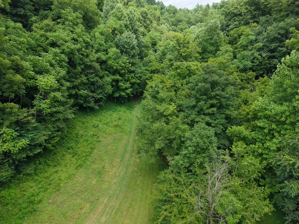 1505 Dark Hollow Road Lafayette TN 37083