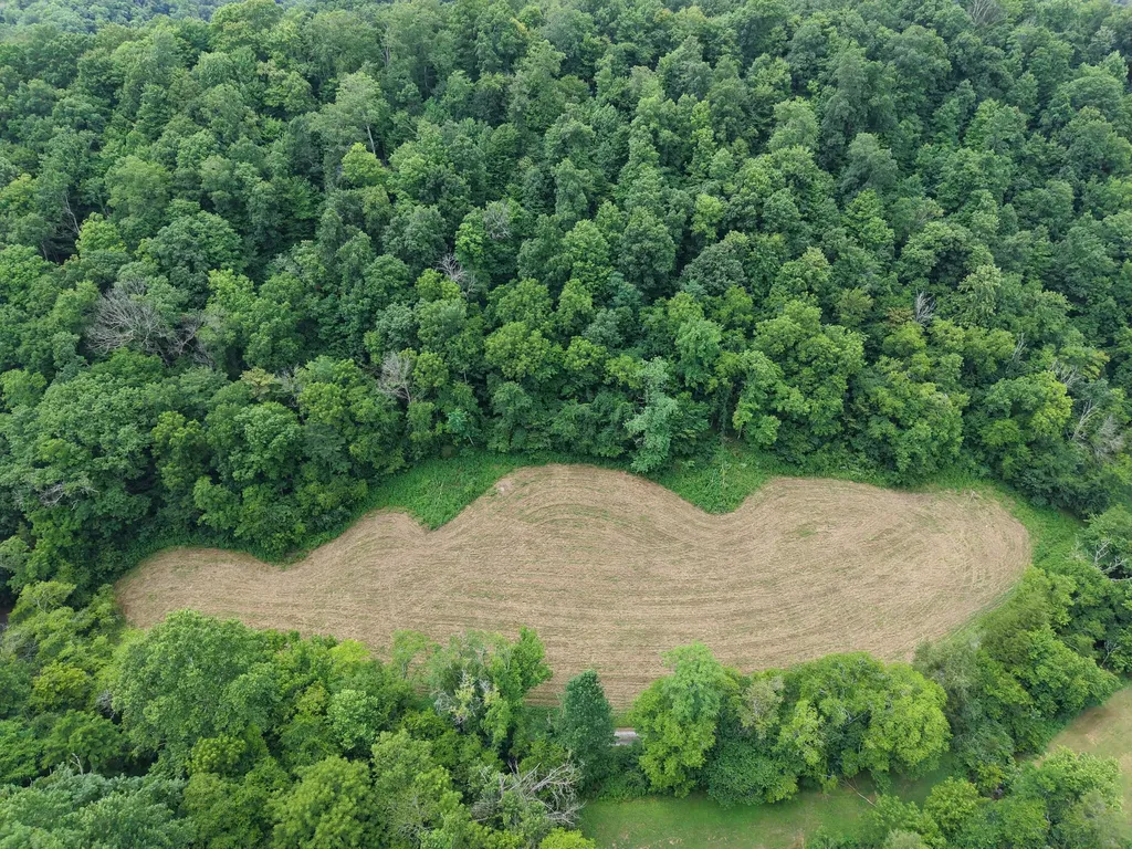 1505 Dark Hollow Road Lafayette TN 37083