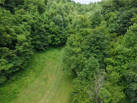 1505 Dark Hollow Road Lafayette TN 37083