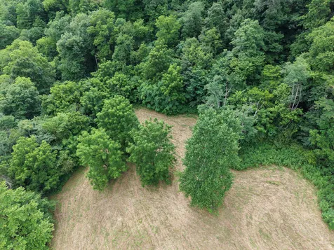 1505 Dark Hollow Road Lafayette TN 37083