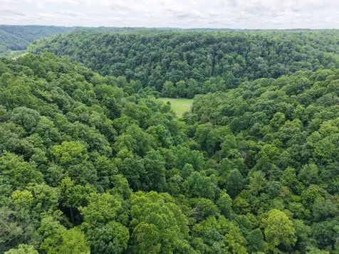 1505 Dark Hollow Road Lafayette TN 37083