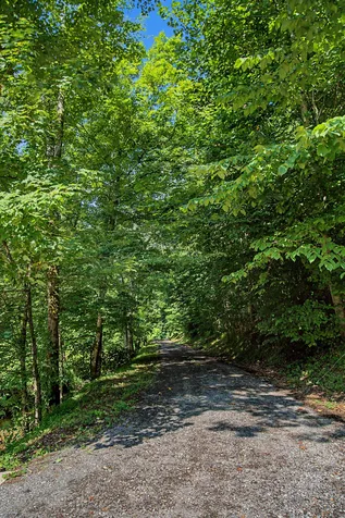 1505 Dark Hollow Road Lafayette TN 37083