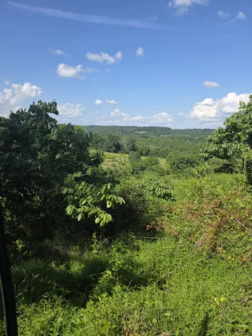 244 Access Road Pulaski TN 38478