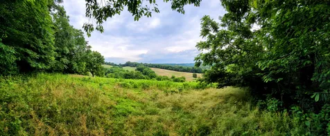 244 Access Road Pulaski TN 38478