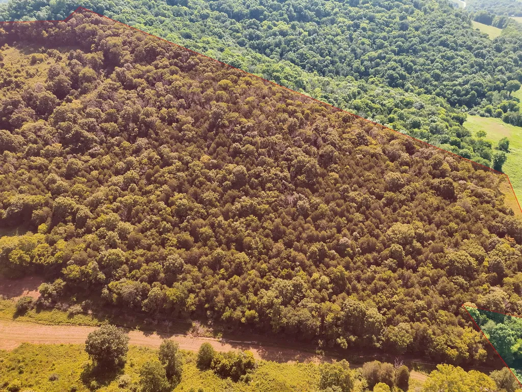 200 Rough Point Lane Whitleyville TN 38588