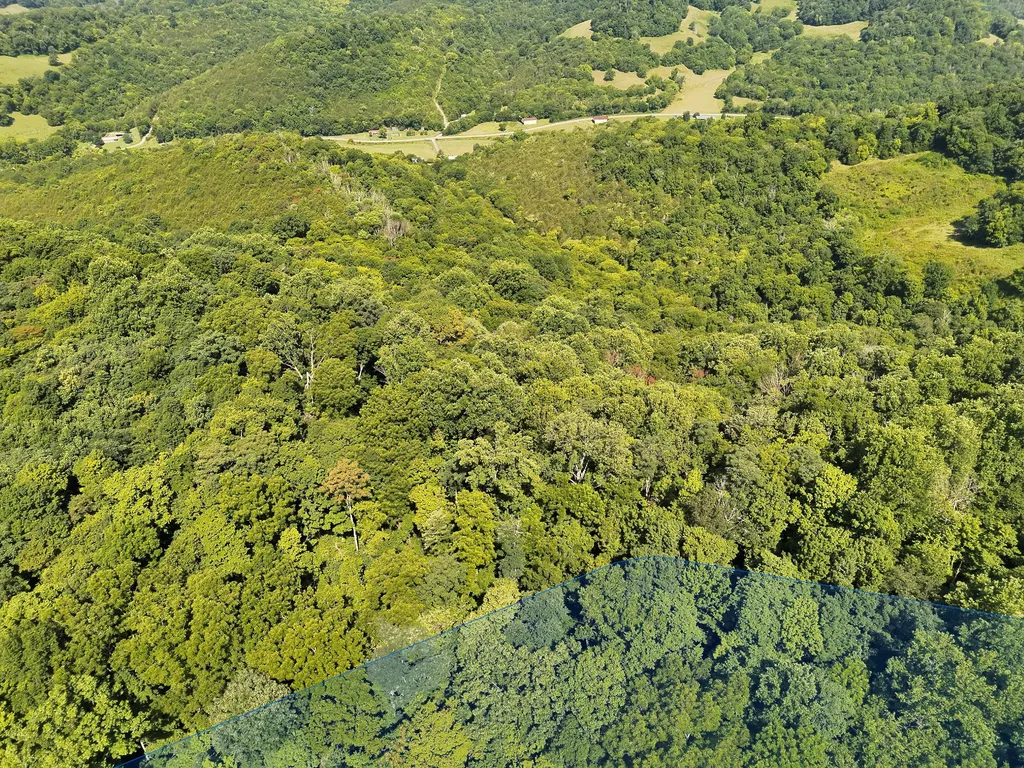 200 Rough Point Lane Whitleyville TN 38588