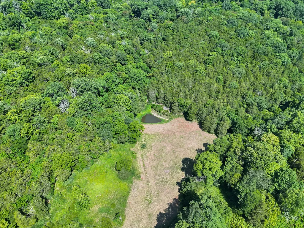 200 Rough Point Lane Whitleyville TN 38588