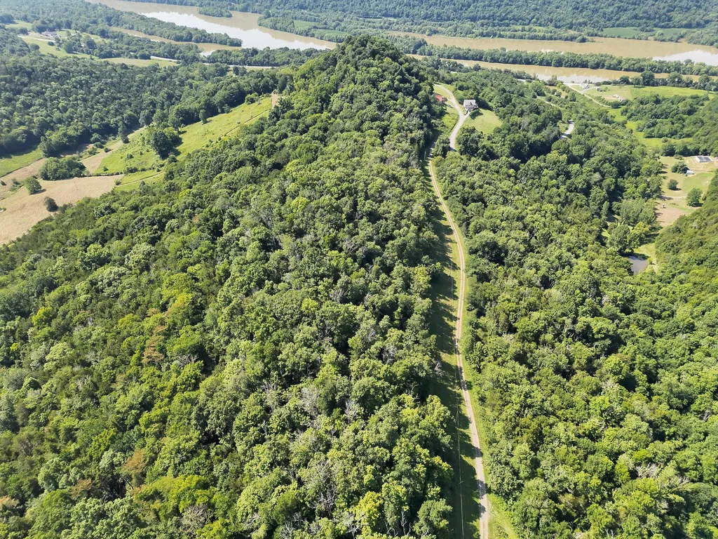200 Rough Point Lane Whitleyville TN 38588