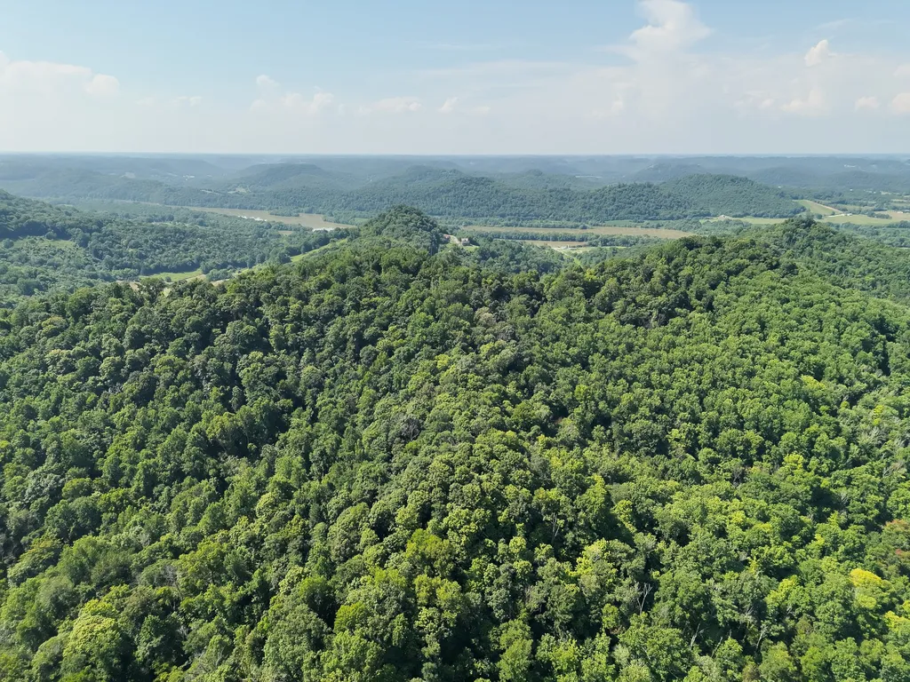 200 Rough Point Lane Whitleyville TN 38588