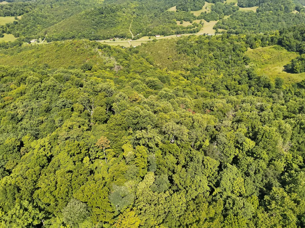 200 Rough Point Lane Whitleyville TN 38588