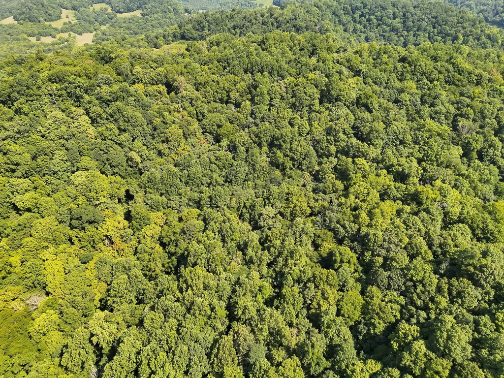 200 Rough Point Lane Whitleyville TN 38588