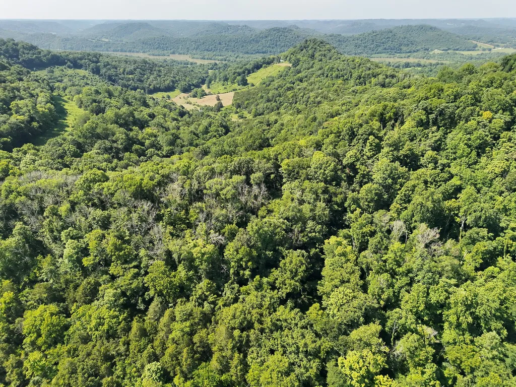 200 Rough Point Lane Whitleyville TN 38588
