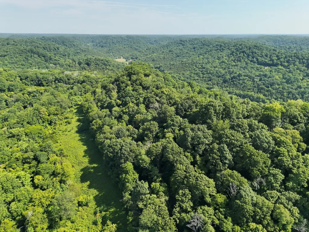 200 Rough Point Lane Whitleyville TN 38588