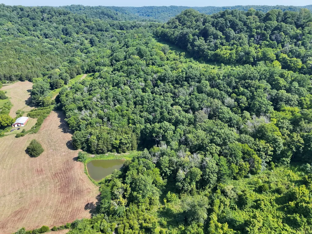 200 Rough Point Lane Whitleyville TN 38588
