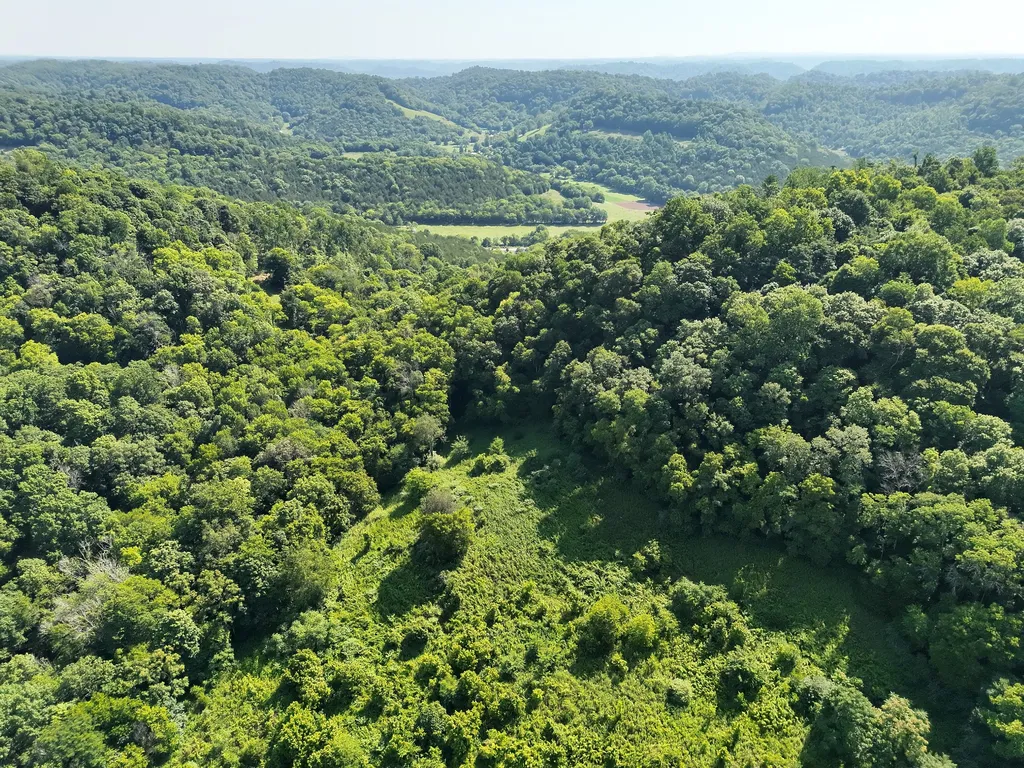 200 Rough Point Lane Whitleyville TN 38588