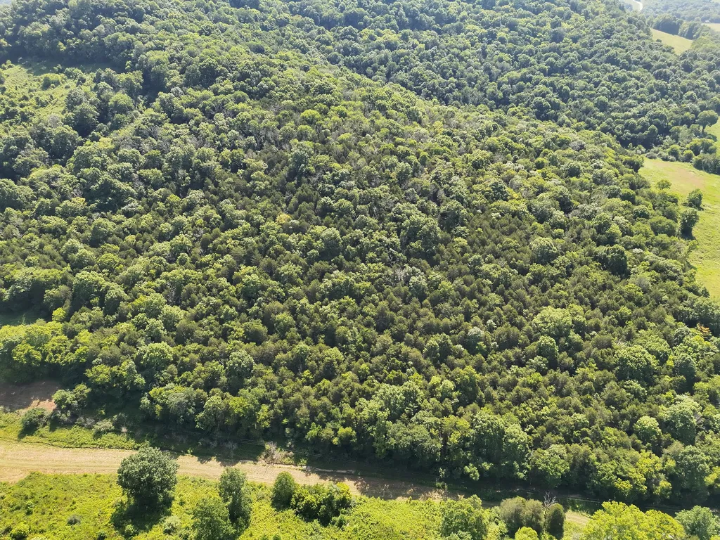 200 Rough Point Lane Whitleyville TN 38588