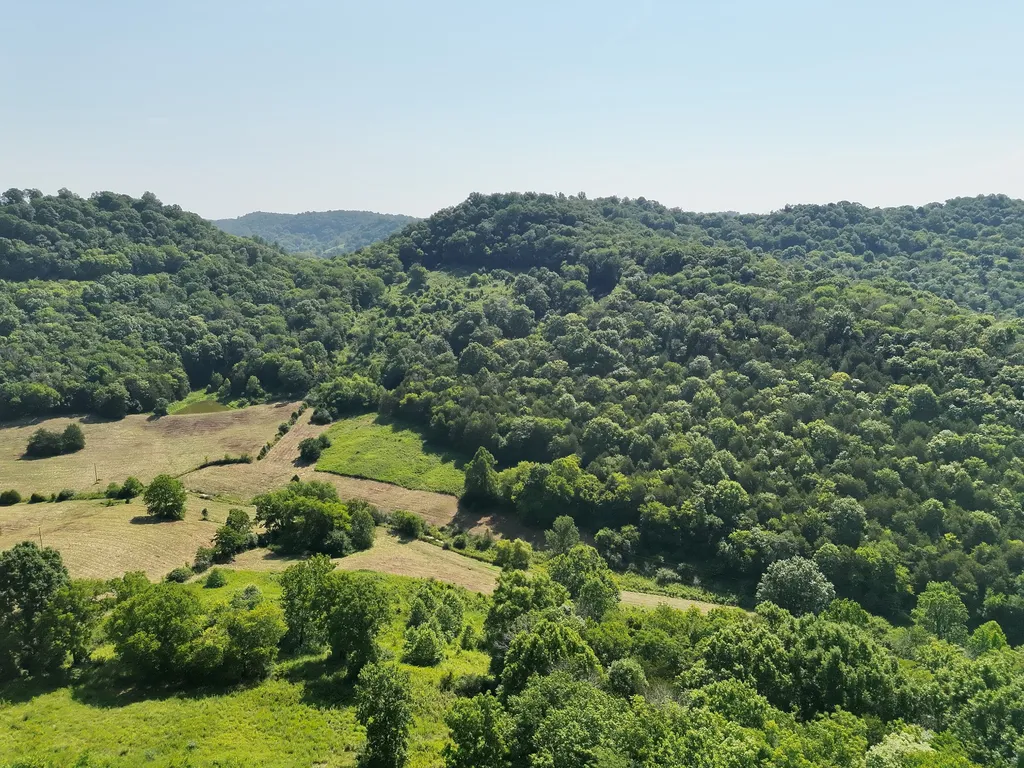 200 Rough Point Lane Whitleyville TN 38588
