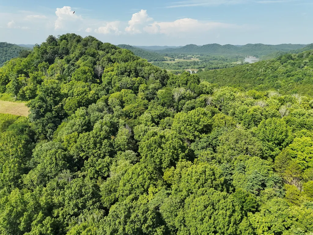 200 Rough Point Lane Whitleyville TN 38588