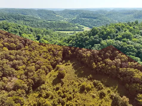 200 Rough Point Lane Whitleyville TN 38588