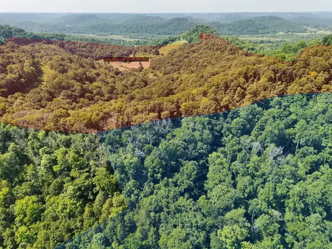 200 Rough Point Lane Whitleyville TN 38588