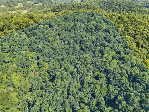 200 Rough Point Lane Whitleyville TN 38588
