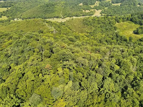 200 Rough Point Lane Whitleyville TN 38588