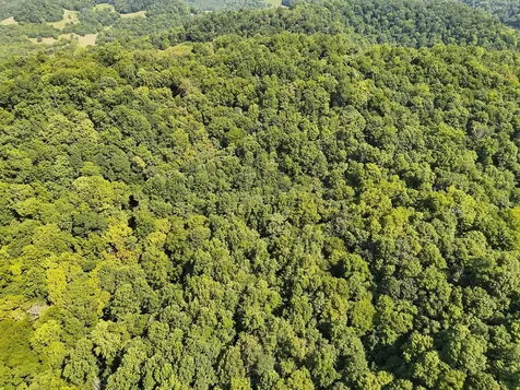 200 Rough Point Lane Whitleyville TN 38588