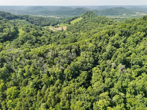 200 Rough Point Lane Whitleyville TN 38588