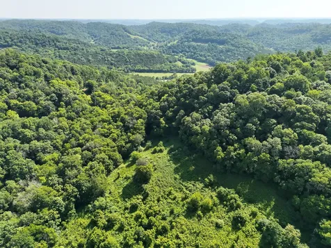 200 Rough Point Lane Whitleyville TN 38588