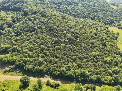 200 Rough Point Lane Whitleyville TN 38588