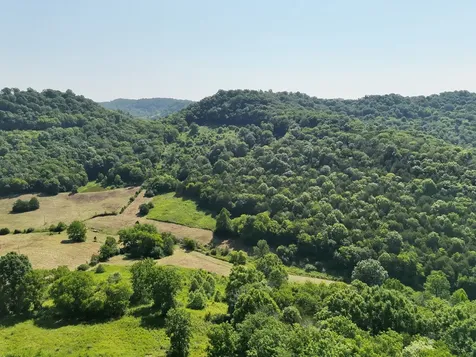 200 Rough Point Lane Whitleyville TN 38588
