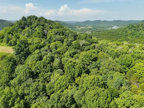 200 Rough Point Lane Whitleyville TN 38588
