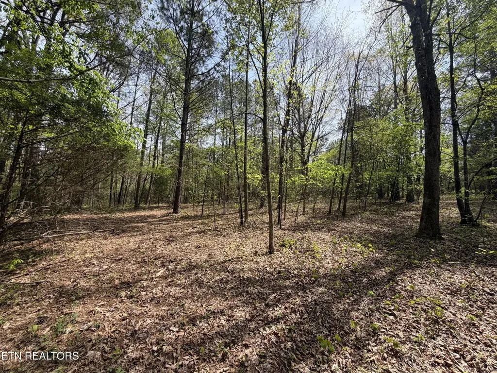 7836 Dry Valley Road Loudon TN 37774