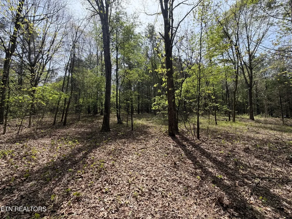 7836 Dry Valley Road Loudon TN 37774