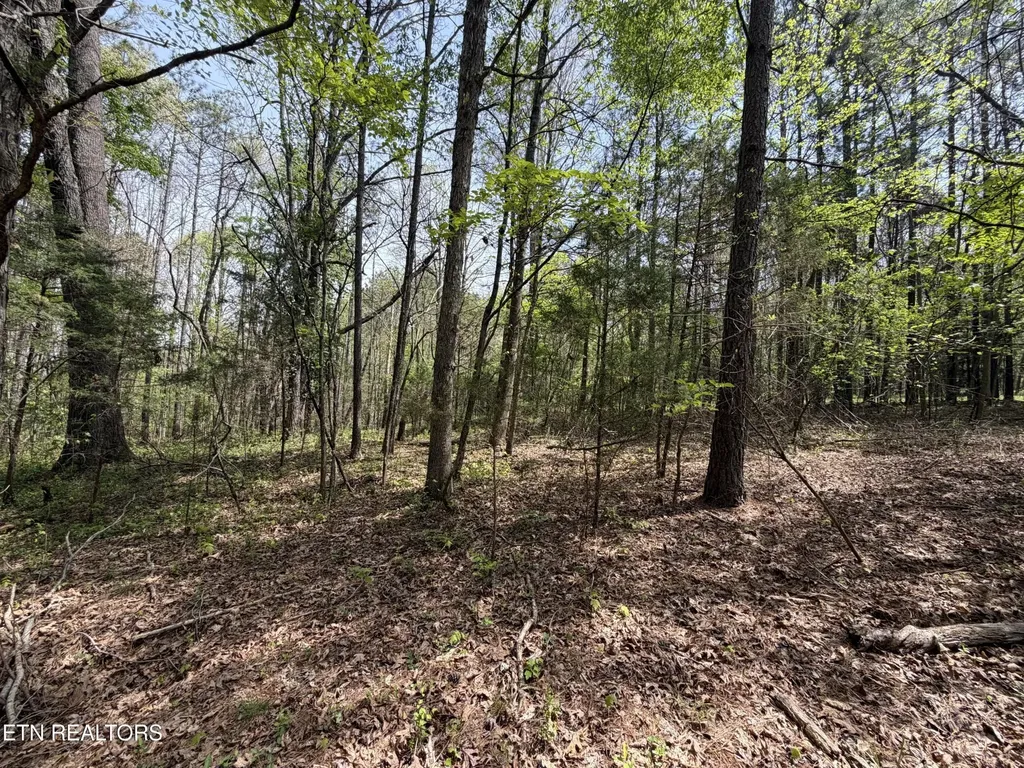 7836 Dry Valley Road Loudon TN 37774