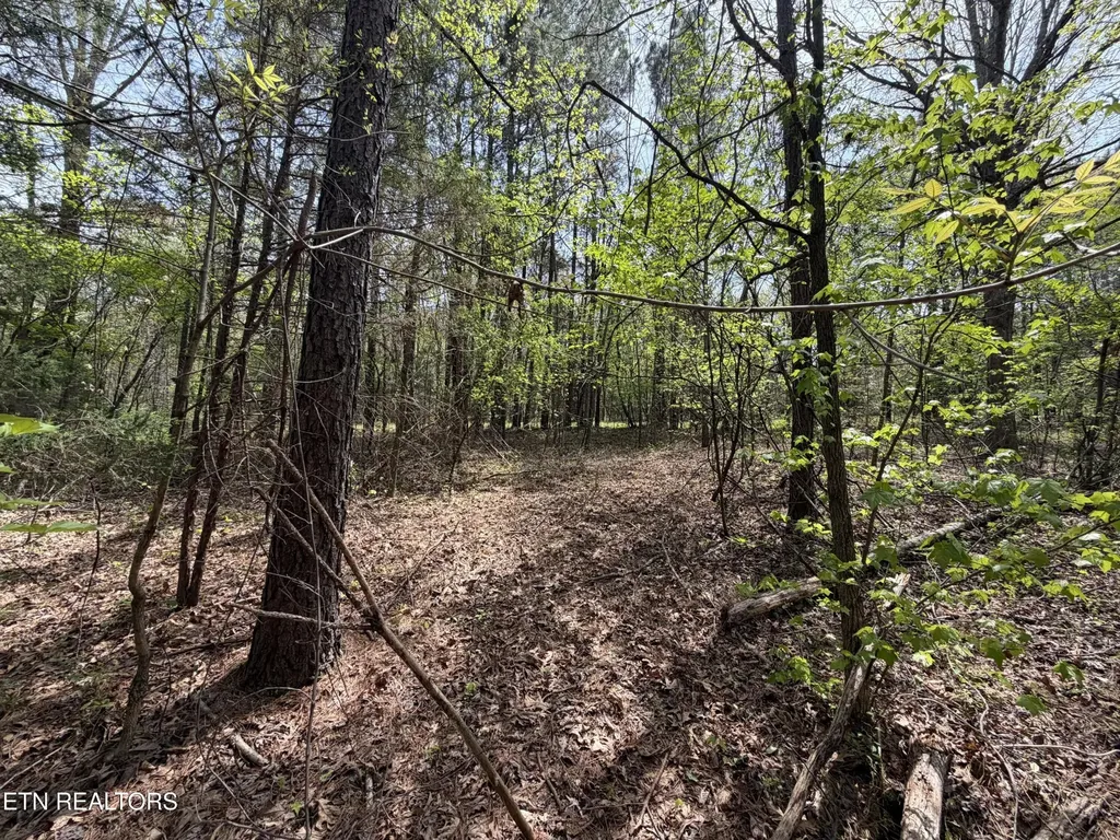 7836 Dry Valley Road Loudon TN 37774