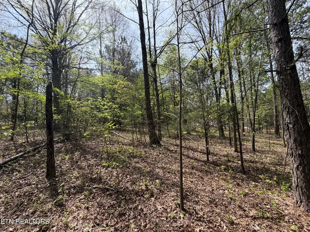 7836 Dry Valley Road Loudon TN 37774